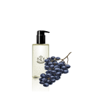 گلدان آپارتمانی کراسولا آواتا - تصویر 3